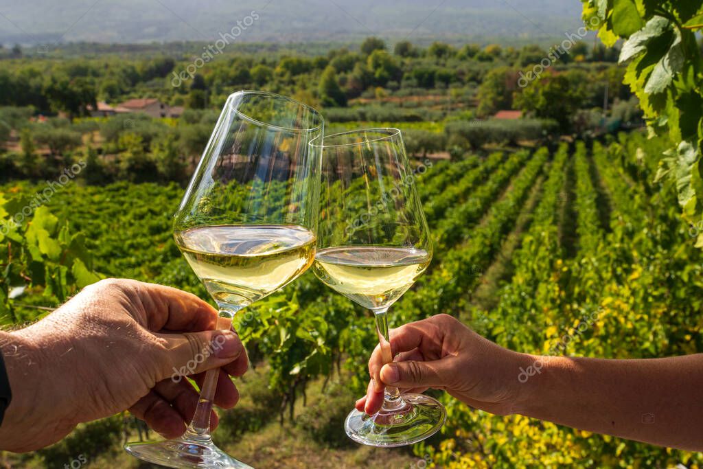 Degustazione di vini e prodotti tipici siciliani